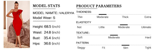 Asymmetrical Neck Ruffle Trim Bodycon Dress Bandage Dress Sleeveless Evening Party